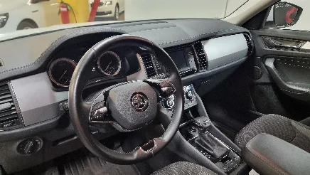 Skoda Kodiaq photo-12